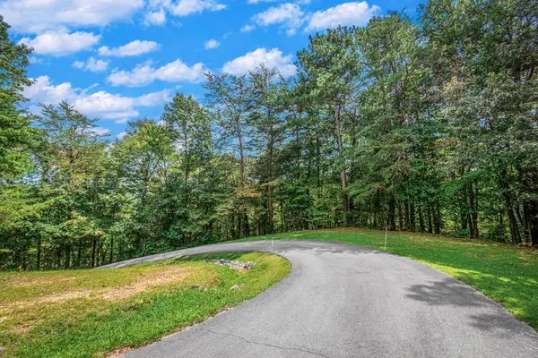 Lot 103R Mountain Creek Hollow Drive, Talking Rock, GA 30175