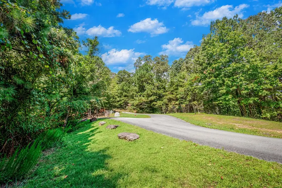 Lot 103R Mountain Creek Hollow Drive, Talking Rock, GA 30175 - #2