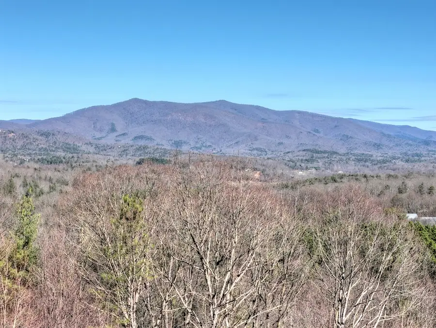 100 Fox Paw Leaf Court, Ellijay, GA 30536 - Image #2