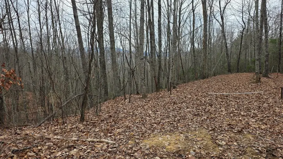 35AC Ducks Nest Road, Turtletown, TN 37391 - Image #3