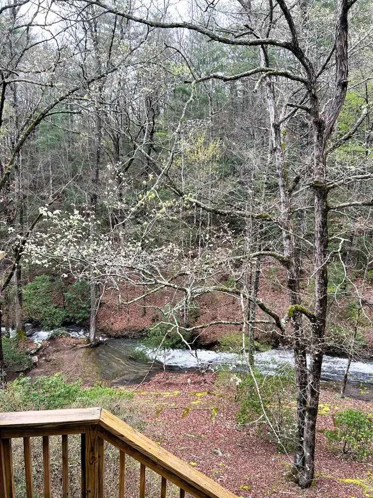 746 Mission Dam Road, Hayesville, NC 28904 - Image #3