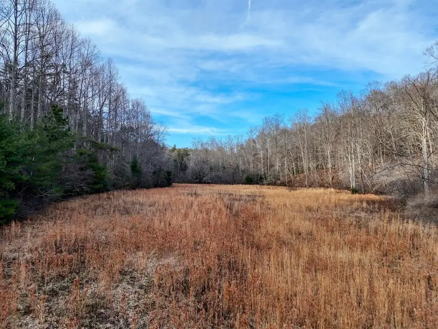 476 Rainbow Road, Suches, GA 30572 - #2