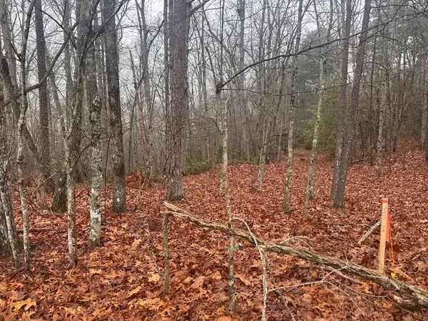 9.7Acres Winchester Creek, Young Harris, GA 30582