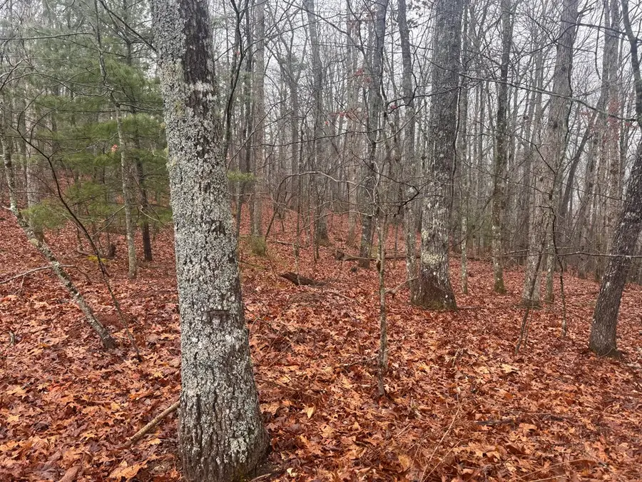9.7Acres Winchester Creek, Young Harris, GA 30582 - Image #2