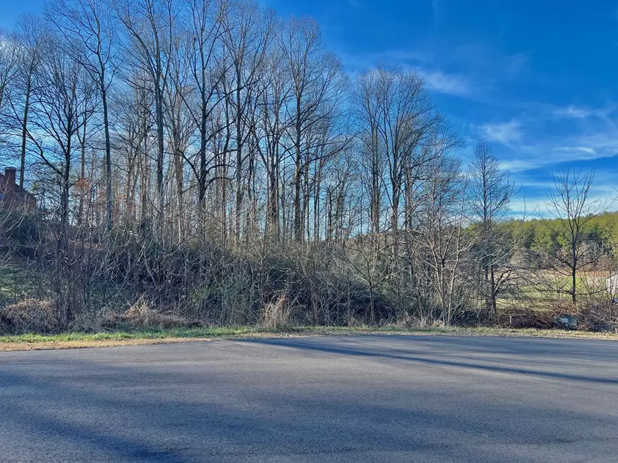16 Anns Way, Blairsville, GA 30512 - Image #2