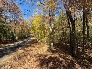 Lot 9 Peter Knob Road, Blue Ridge, GA 30513 - Image #2