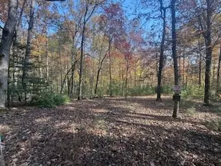 Lot 9 Peter Knob Road, Blue Ridge, GA 30513 - Image #3