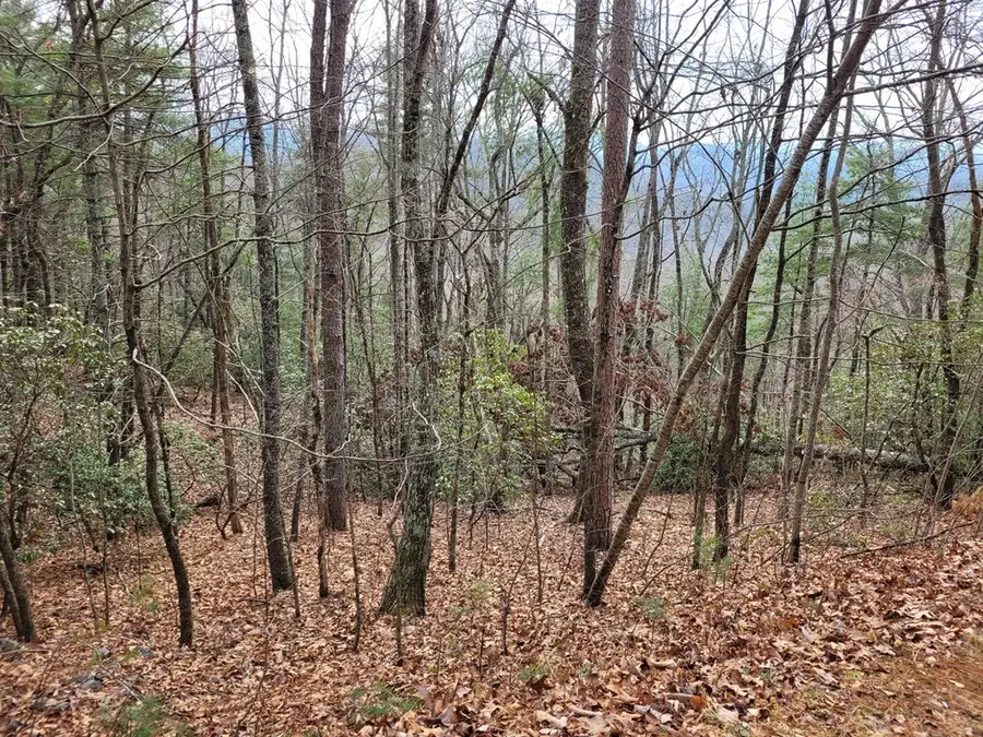 Lot 49 Slate Stone Lane, Hayesville, NC 28904 - Image #2