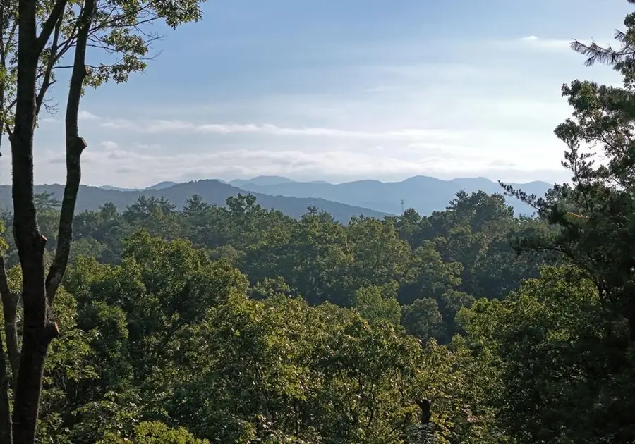 975 Bunker Hill Road, Blairsville, GA 30512 - Image #3