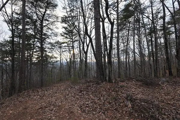 198 Log Round Mountain Trail, Ellijay, GA 30540