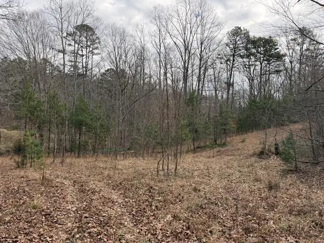 0 H Cook Drive, Morganton, GA 30560 - Image #1