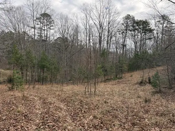 0 H Cook Drive, Morganton, GA 30560