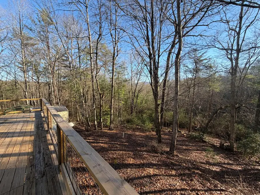 636 Bear Paw Trail, Blue Ridge, GA 30513 - #2