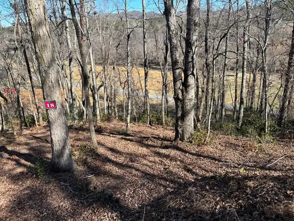 Lot 18 Brasstown Trails, Warne, NC 28909