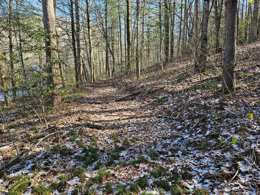 0 Beaver Dam Road, Murphy, NC 28906 - #3