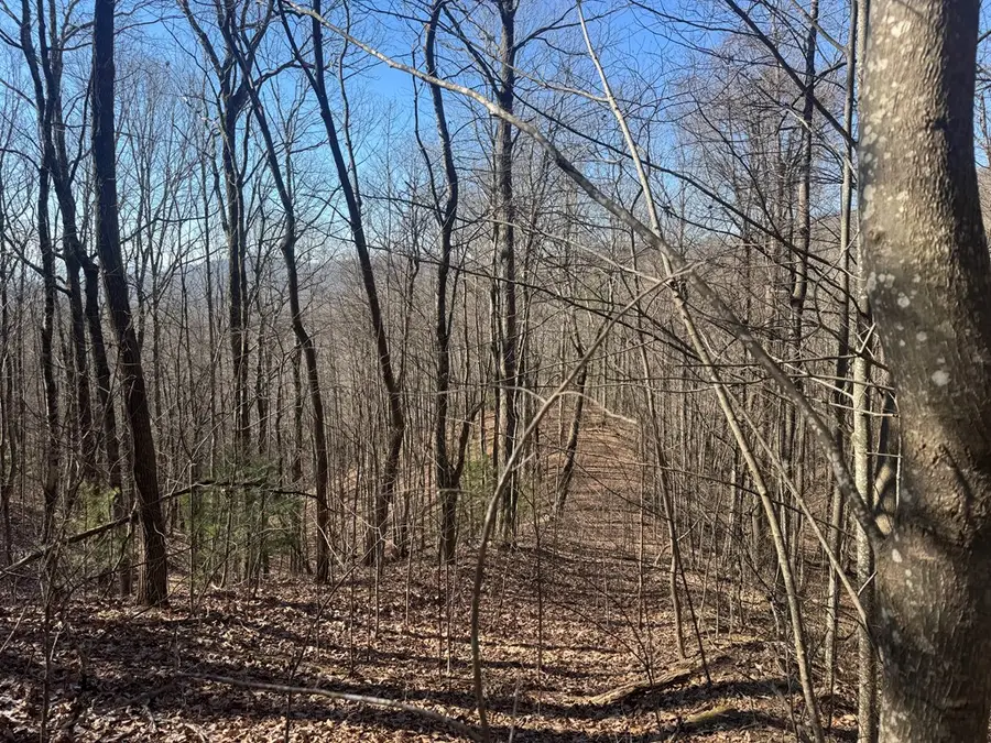 17 Oak Ridge Estates, Murphy, NC 28906 - #2