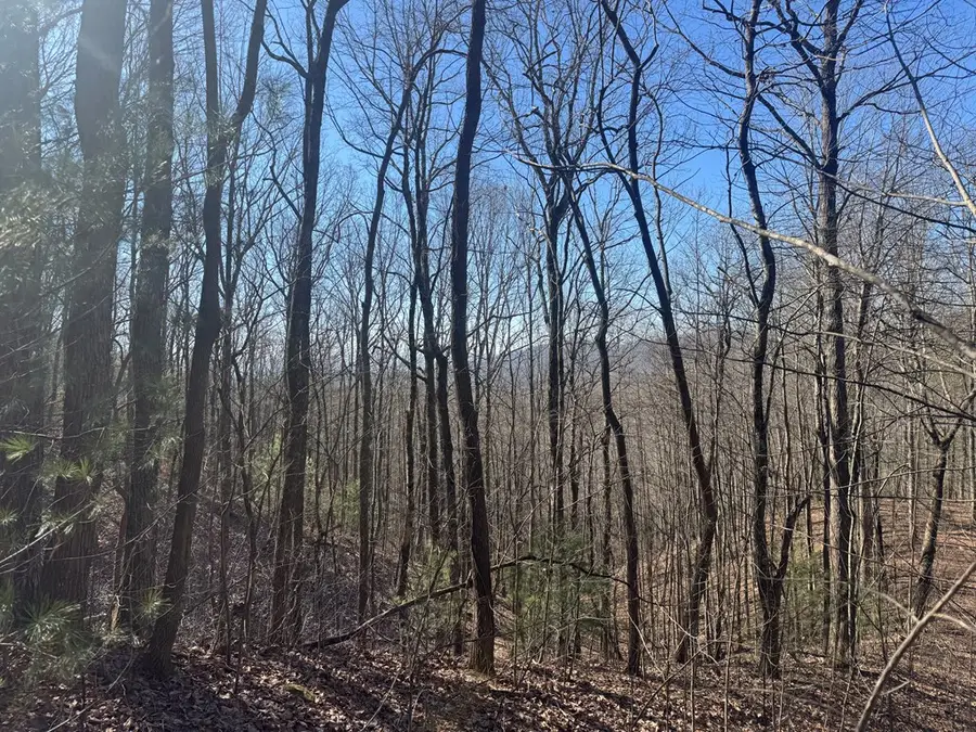 17 Oak Ridge Estates, Murphy, NC 28906 - #3