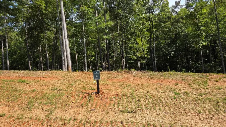 4 Springfield Parkway, Ellijay, GA 30540 - #3