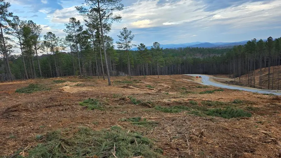 103 Springfield Parkway, Ellijay, GA 30540 - Image #3