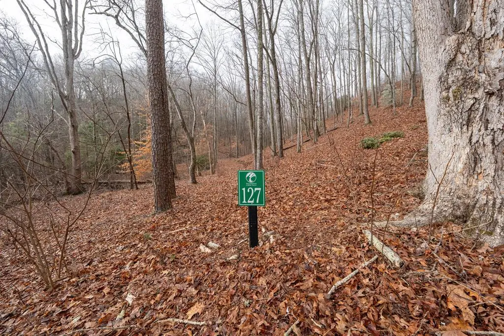 Lot 127 Timber Ridge, Murphy, NC 28906 - #1