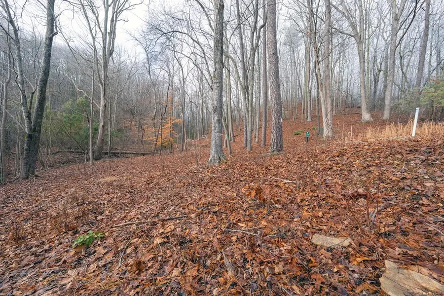 Lot 127 Timber Ridge, Murphy, NC 28906 - #2