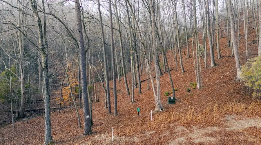 Lot 127 Timber Ridge, Murphy, NC 28906 - #3