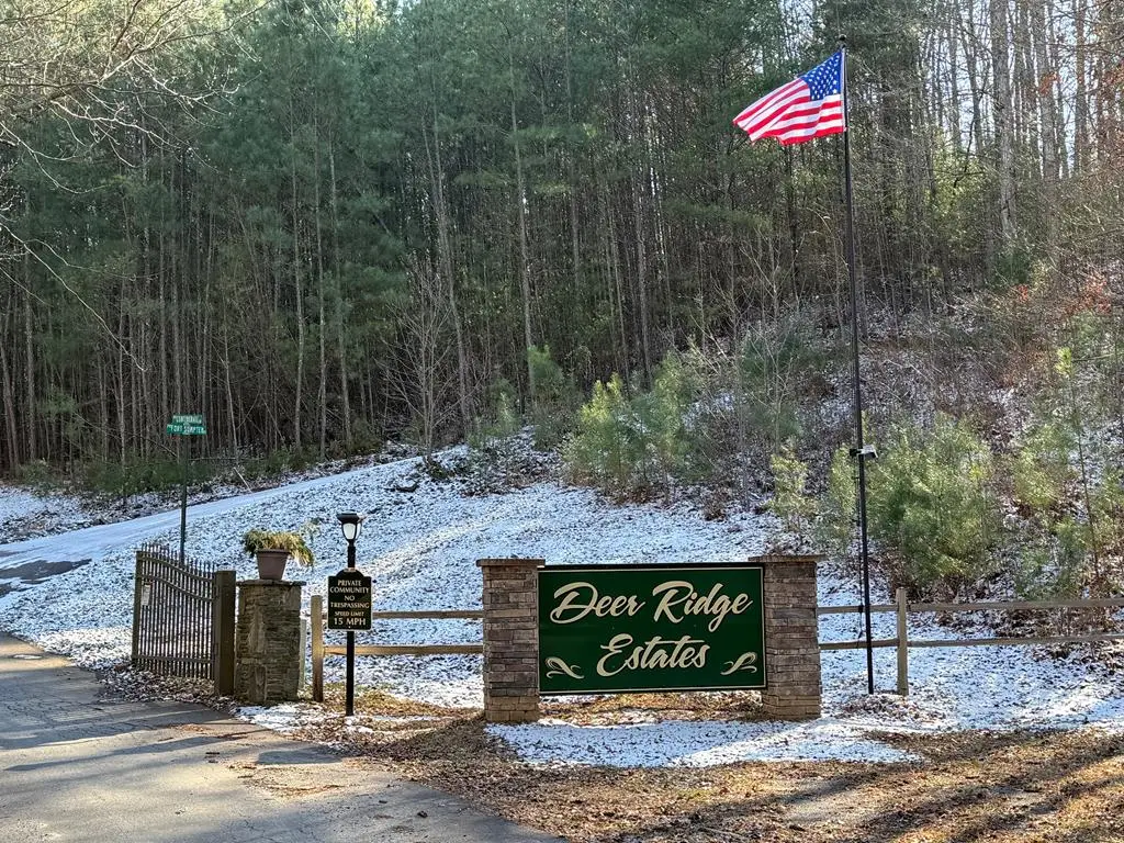 00 Confederate, Murphy, NC 28906 - #1