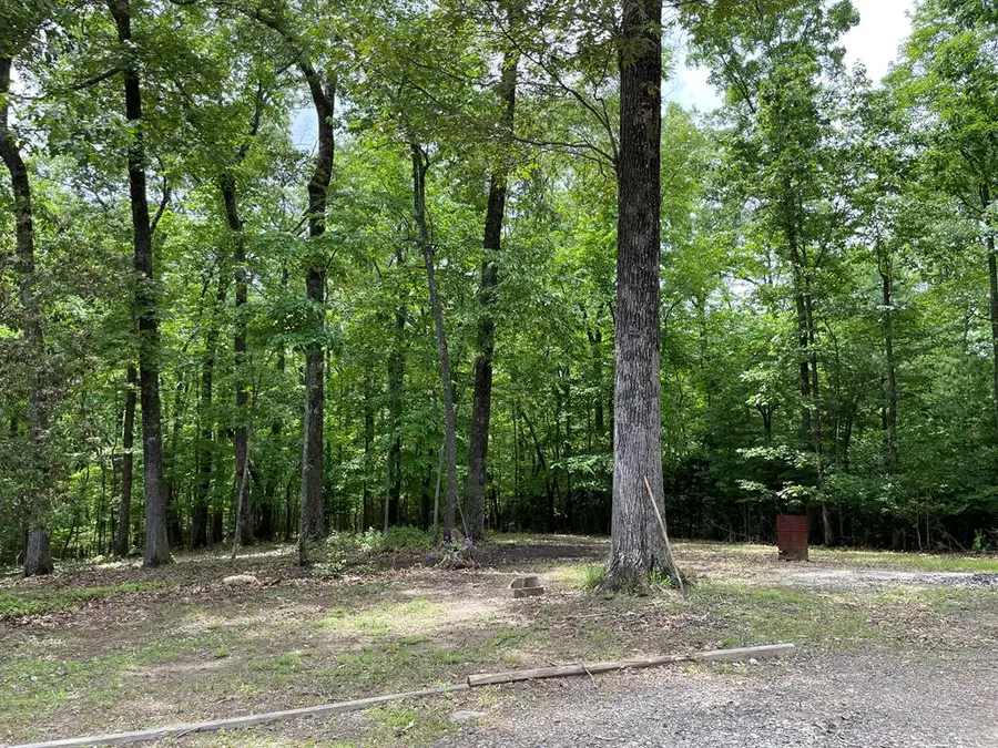 381 Ross Drive, Mineral Bluff, GA 30559 - #2