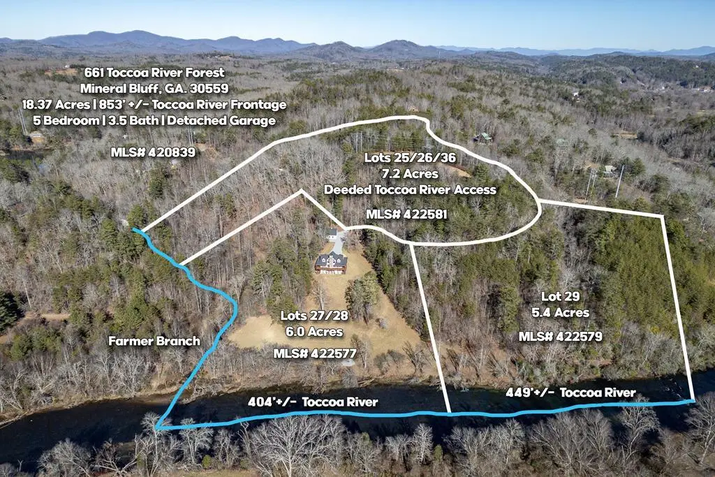 Lot 29 Toccoa River Forest, Mineral Bluff, GA 30559 - #1