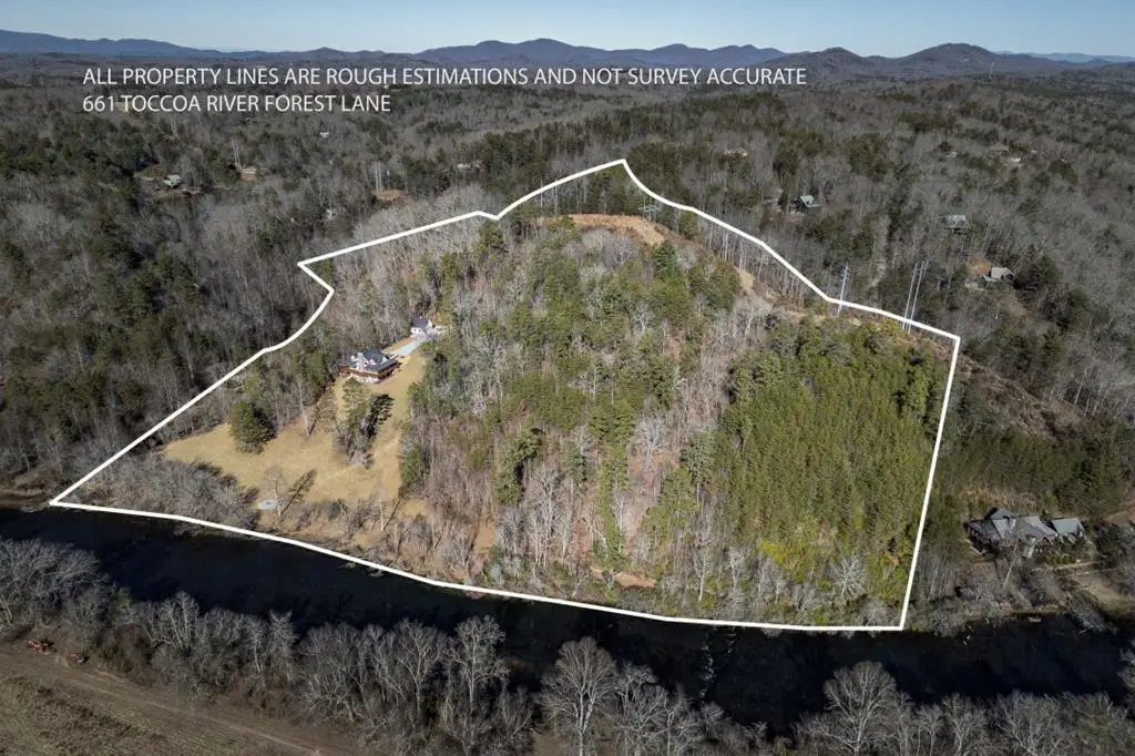 Lot 25+ Toccoa River Forest, Mineral Bluff, GA 30559 - Image #1