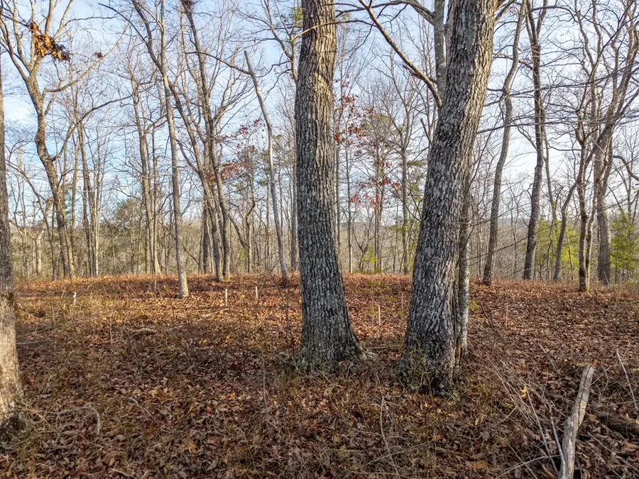 L156&157 Harris Creek Drive, Ellijay, GA 30540 - Image #3