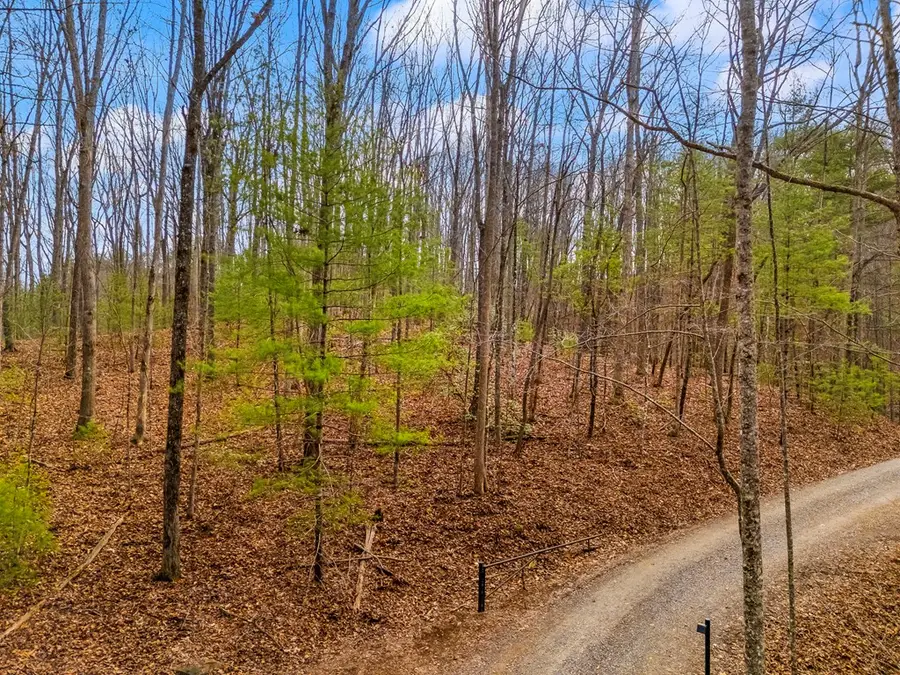 1.03 ac Guy Eller Road, Murphy, NC 28906 - #3