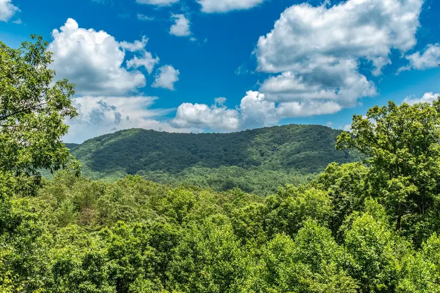 1023 Knollwood Road, Mineral Bluff, GA 30559 - Image #3