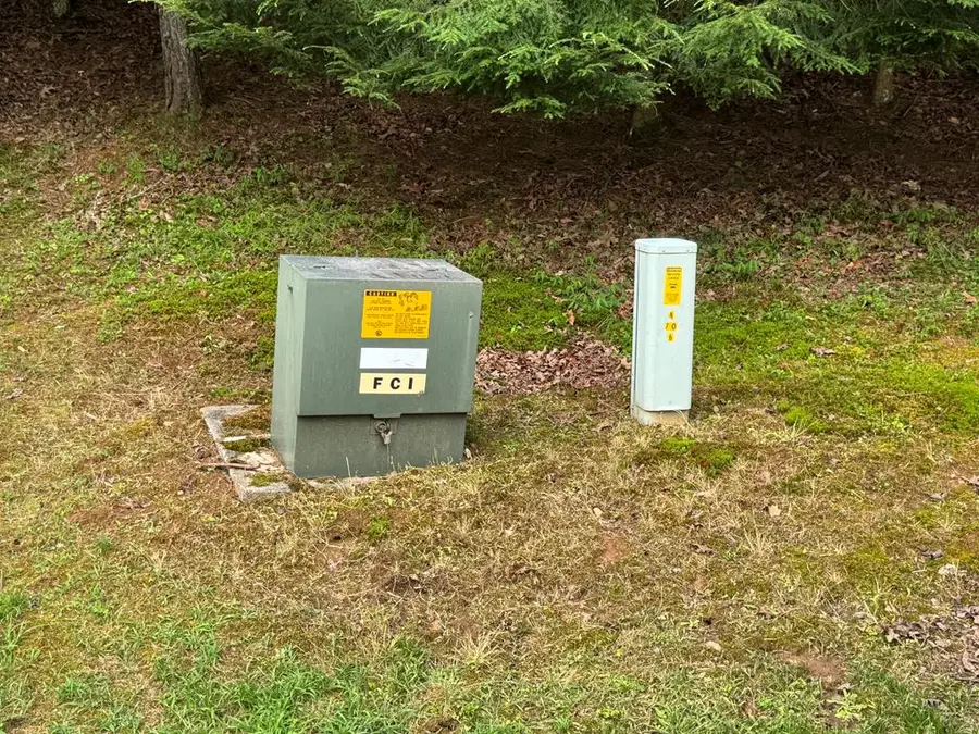 Lot 61 White Pine Trail, Suches, GA 30572 - #3