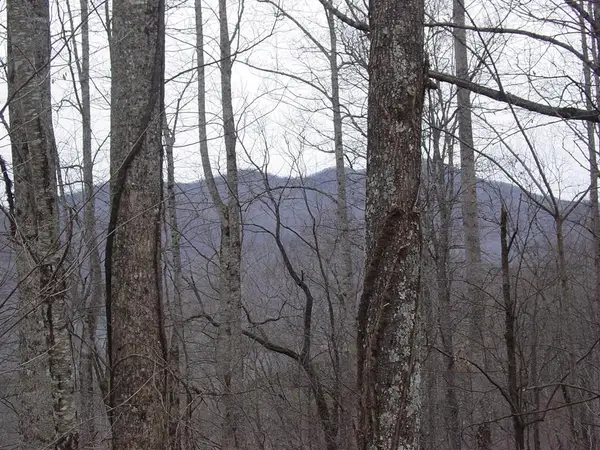 #17 Roaring Ridge, Hiawassee, GA 30546