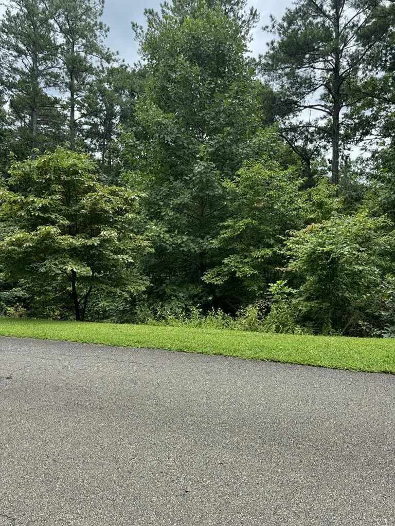 LOT 5 Harris Creek Drive, Ellijay, GA 30540 - #1