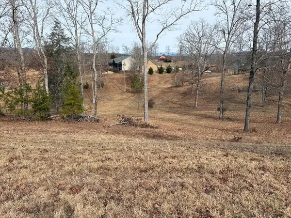 Lot 29 Hogue Way, Blairsville, NC 30512