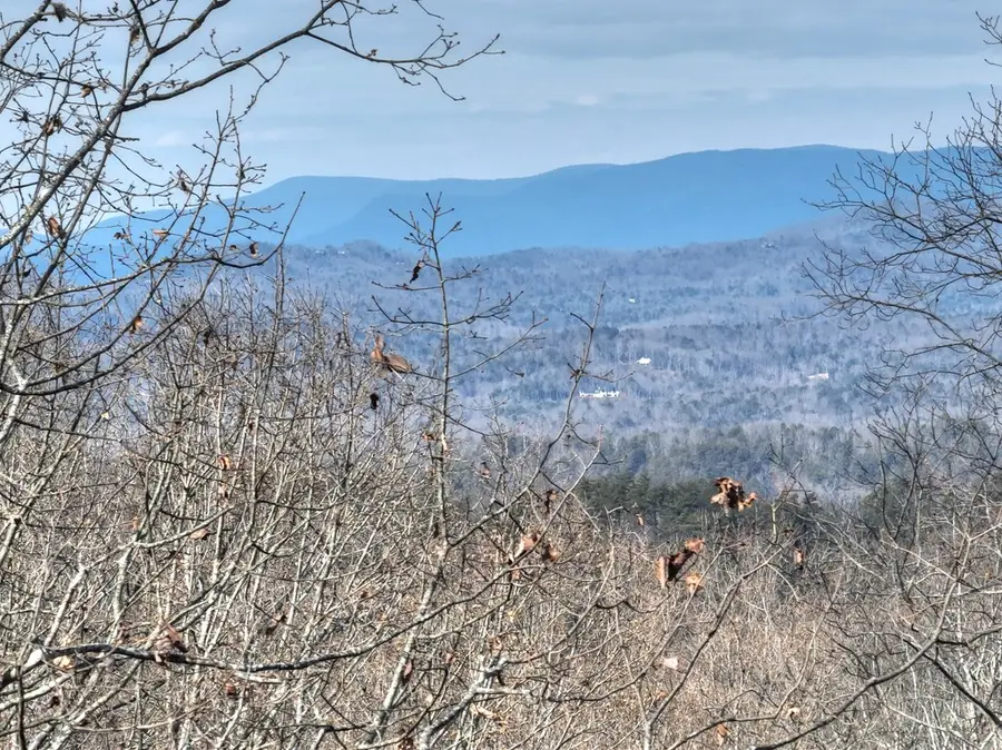 LTS 159+ Hickory Trace, Ellijay, GA 30536 - Image #2