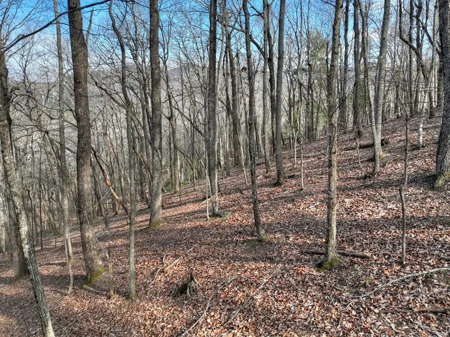 LTS 159+ Hickory Trace, Ellijay, GA 30536 - Image #3