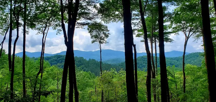 Lot 4 Gold Ridge Trail, Cherry Log, GA 30522 - Image #2