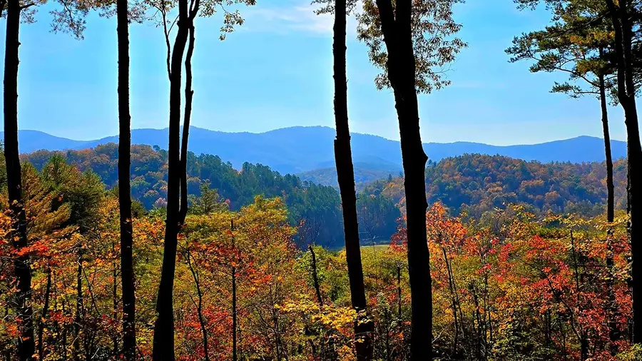 Lot 4 Gold Ridge Trail, Cherry Log, GA 30522 - Image #3