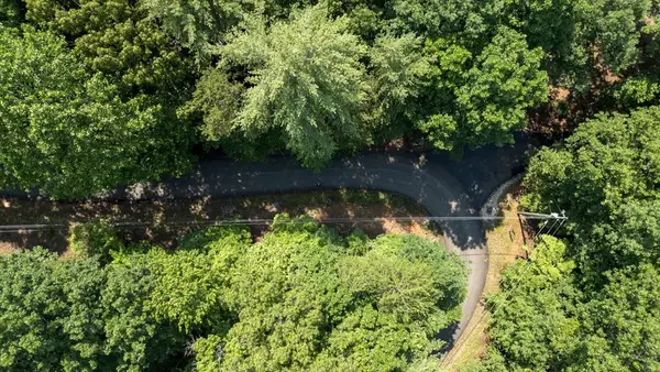 Lot 269 Seneca Drive, Ellijay, GA 30540