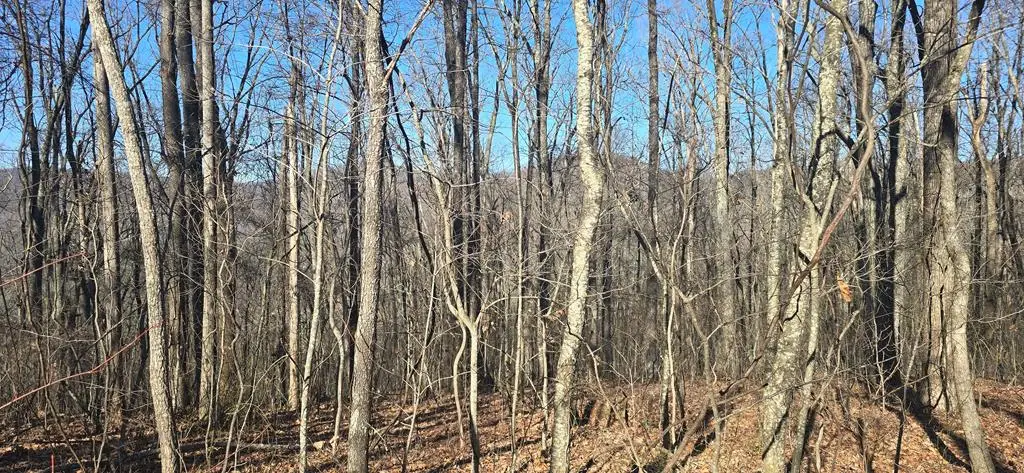 00001 Big Oak Drive, Jasper, GA 30143 - Image #1