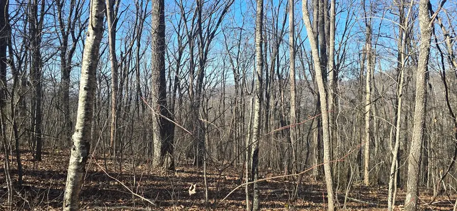 00001 Big Oak Drive, Jasper, GA 30143 - Image #2