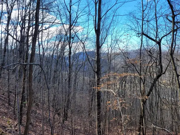 69 Colt Run, Hayesville, NC 28904