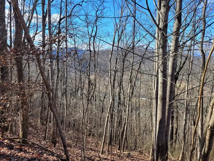 69 Colt Run, Hayesville, NC 28904 - #3