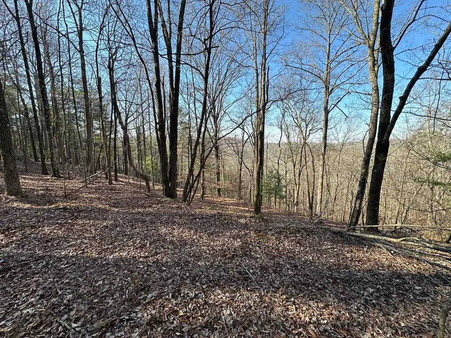 Lot 1640 Hunter Drive, Talking Rock, GA 30175 - #2