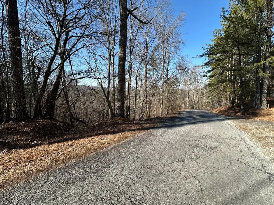 Lot 1640 Hunter Drive, Talking Rock, GA 30175 - #3