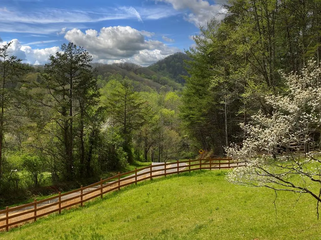 9.13 AC Hells Hollow Road, Blue Ridge, GA 30513 - #1