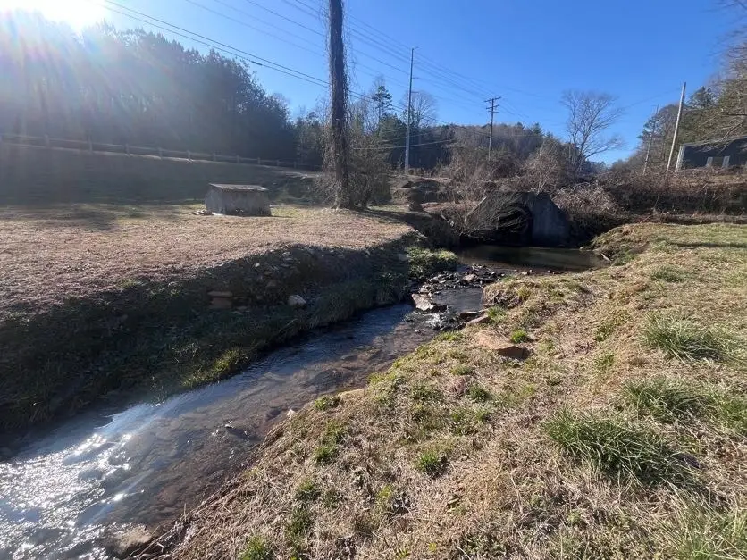 171 Tyler Rd, Ellijay, GA 30540 - #3